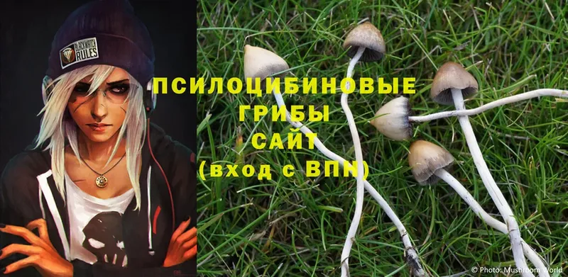 Псилоцибиновые грибы MAGIC MUSHROOMS  Североморск 